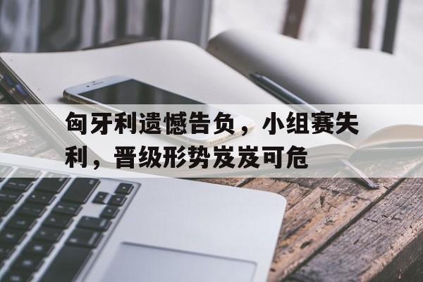 游戏界面-匈牙利遗憾告负，小组赛失利，晋级形势岌岌可危